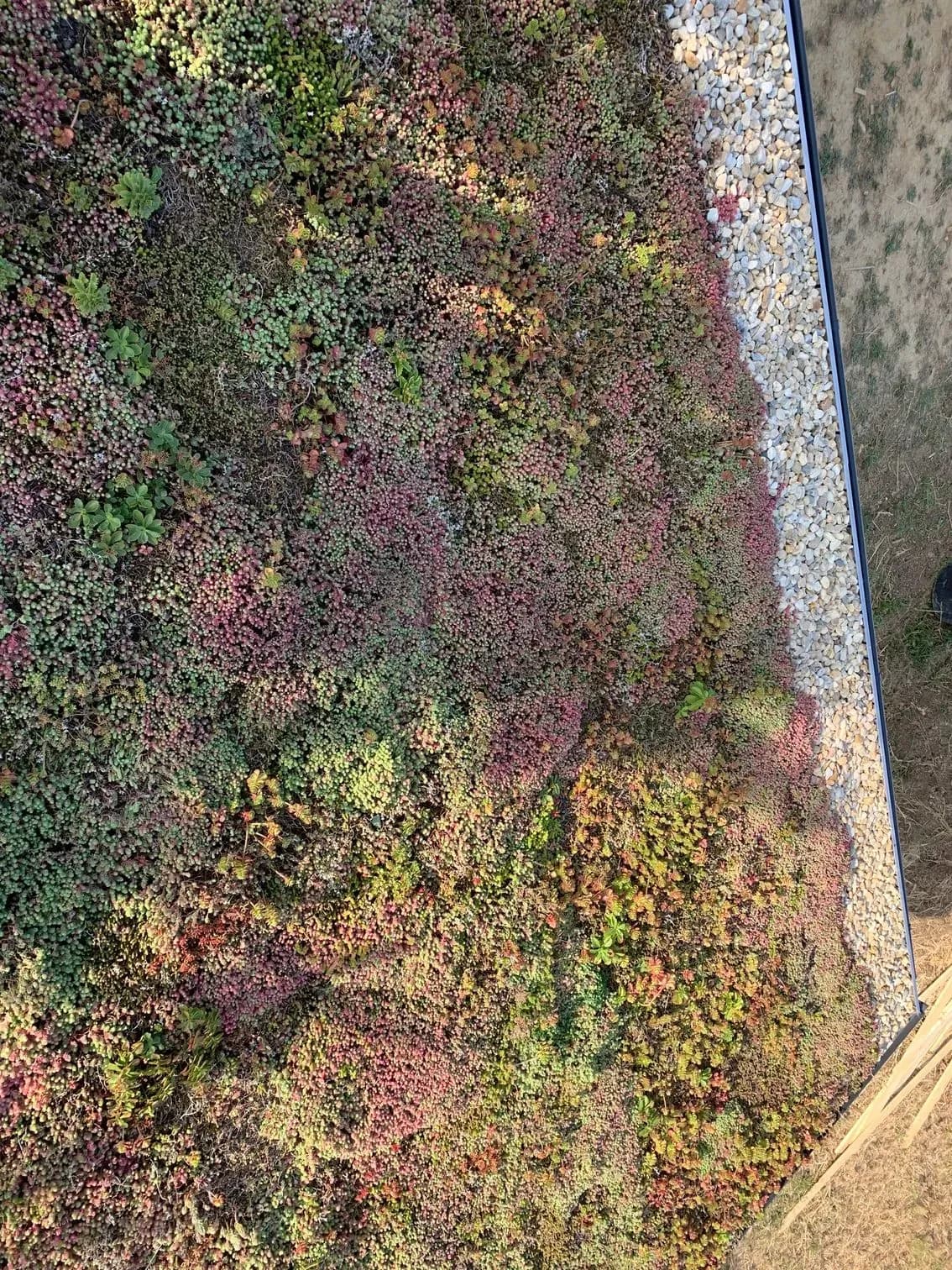 Realizácia extenzívnej zelenej strechy na záhradnom domčeku