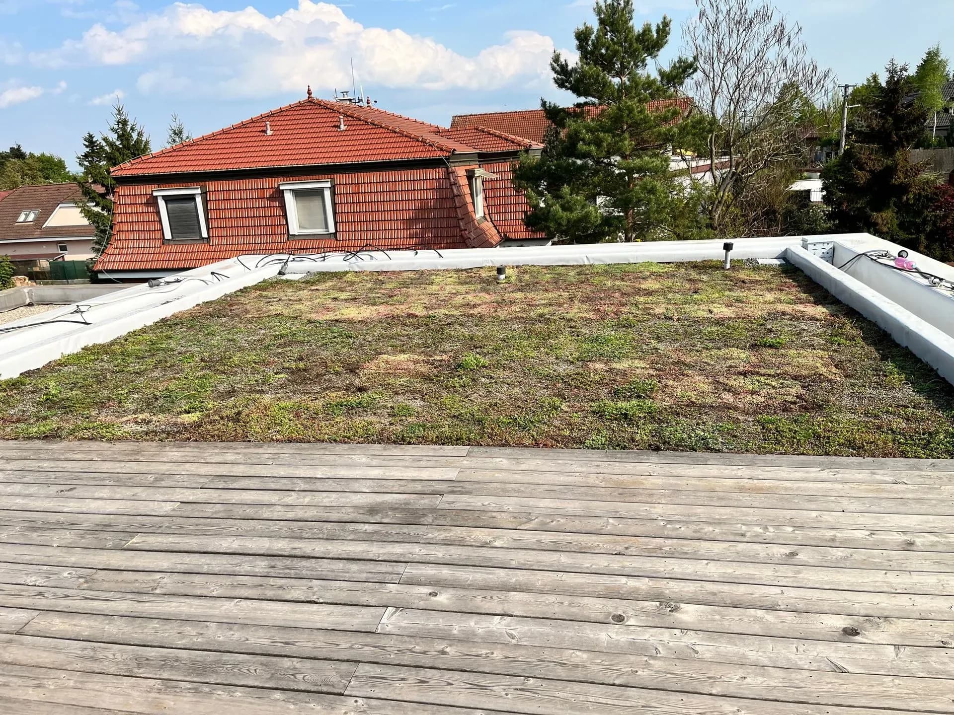 Rekonštrukcia extenzívnej zelenej strechy,  Pereš