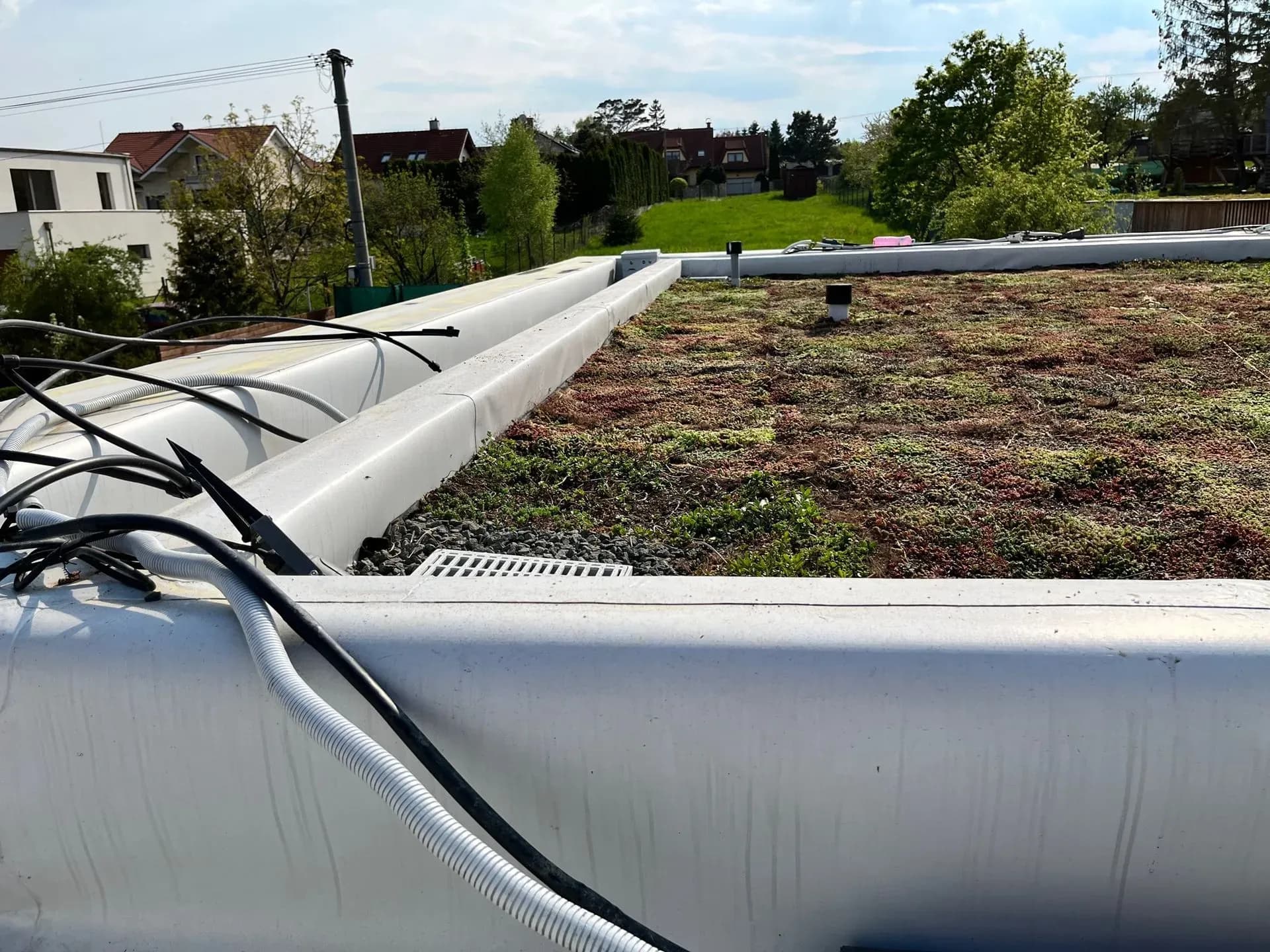 Rekonštrukcia extenzívnej zelenej strechy,  Pereš