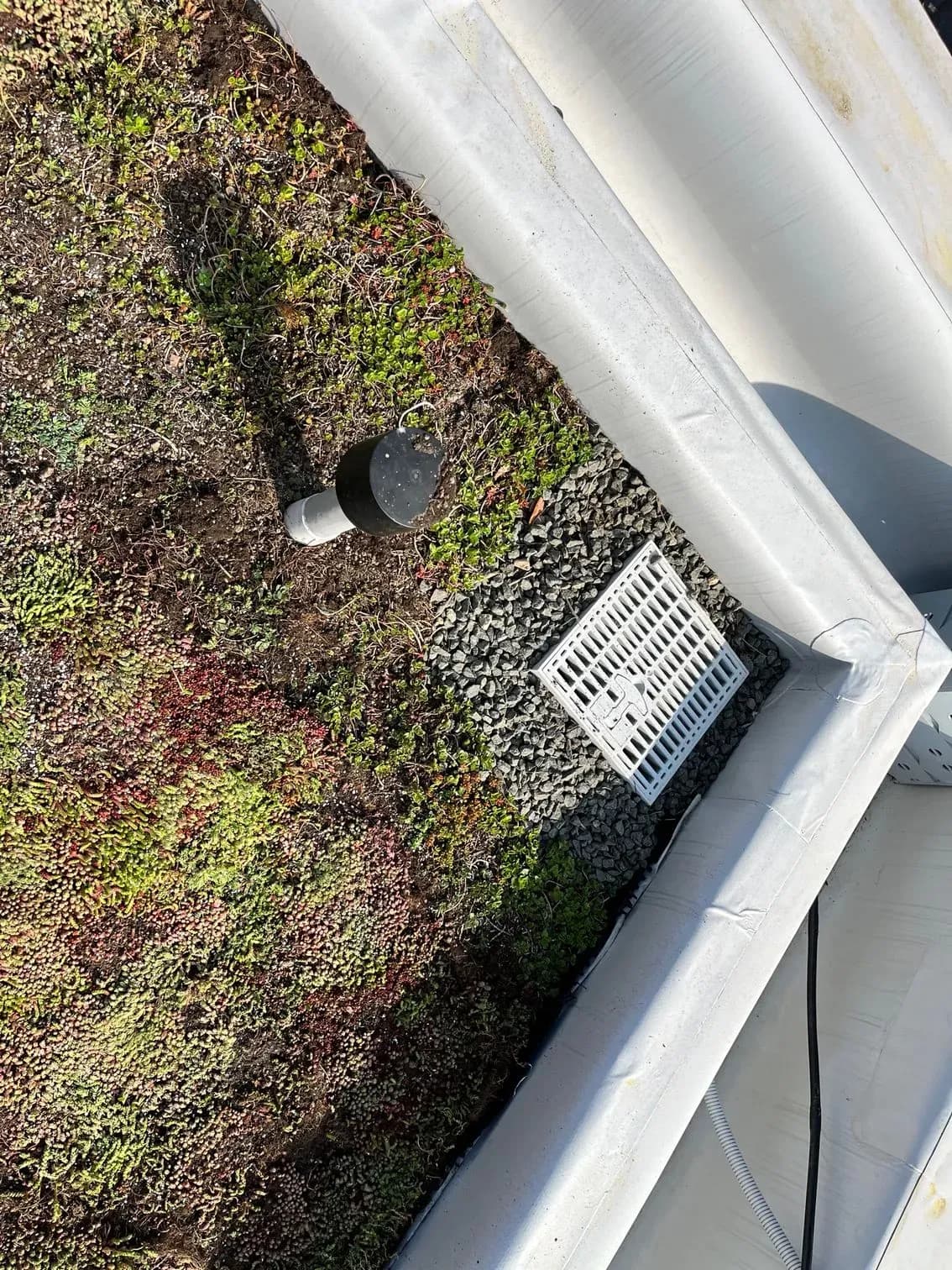 Rekonštrukcia extenzívnej zelenej strechy,  Pereš