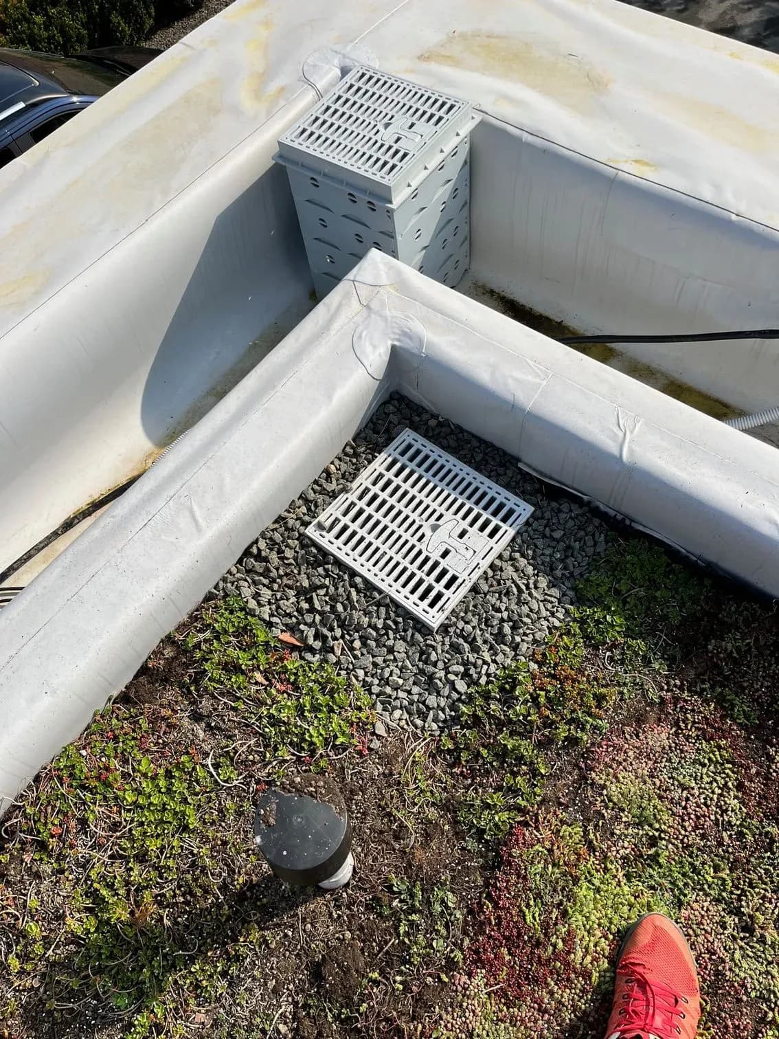 Rekonštrukcia extenzívnej zelenej strechy,  Pereš