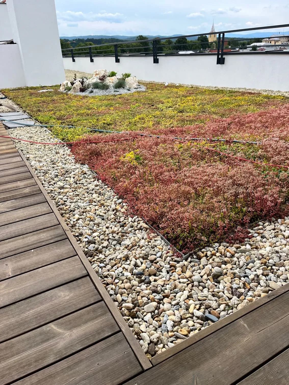 Realizácia intenzívnej zelenej strechy, Moldava nad Bodvou