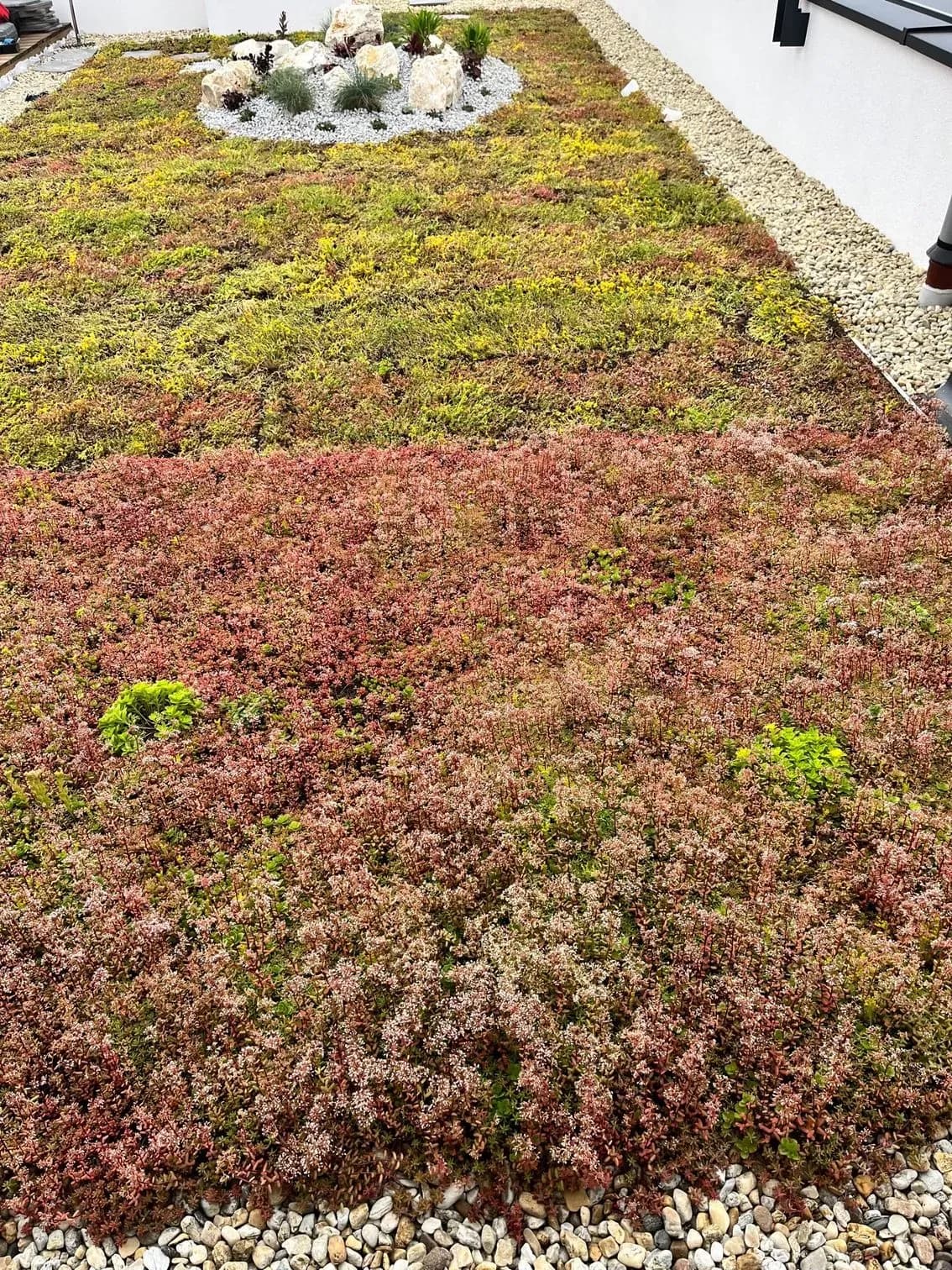 Realizácia intenzívnej zelenej strechy, Moldava nad Bodvou