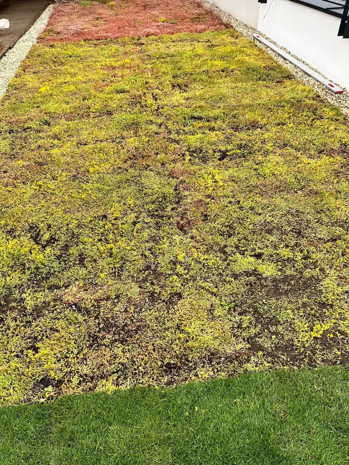 Realizácia intenzívnej zelenej strechy, Moldava nad Bodvou